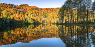 Türkiye’nin Görülmesi Gereken En Güzel Milli Parkları Karagöl Milli Parkı