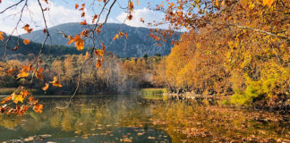 Sonbaharın Bütün Ahengi İle En Güzel Yaşandığı Yerler Kovada Milli Parkı