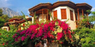 Ege’nin Cennet Köşesi: Akyaka Akyaka Mimarisi